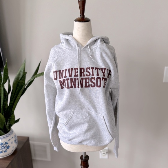 University of Minnesota Hoodie - Printed Text Graphic - Gray - Picture 1 of 7